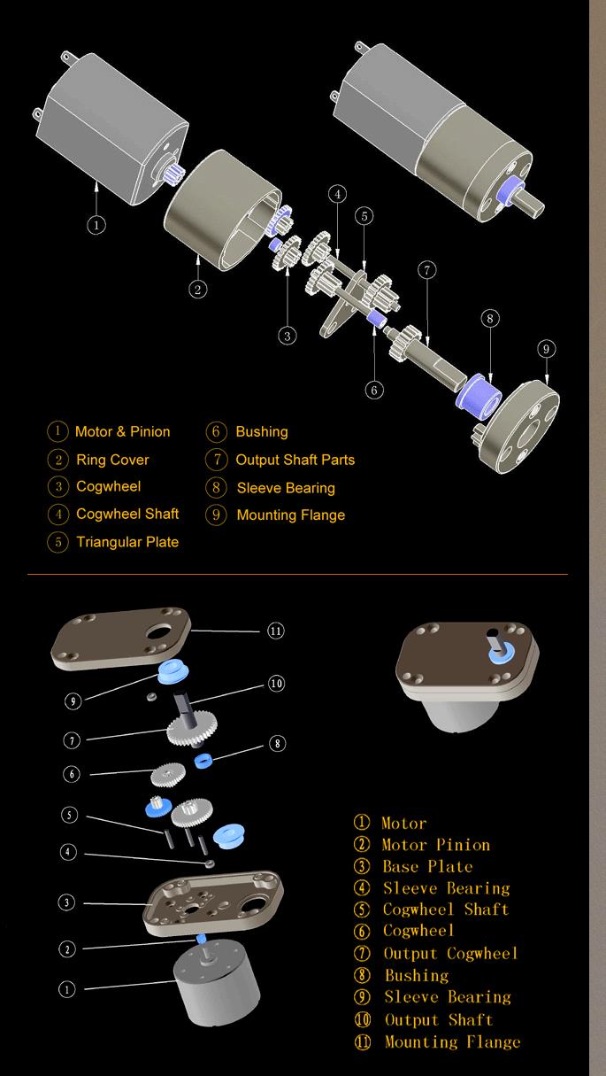 dolin gear motor