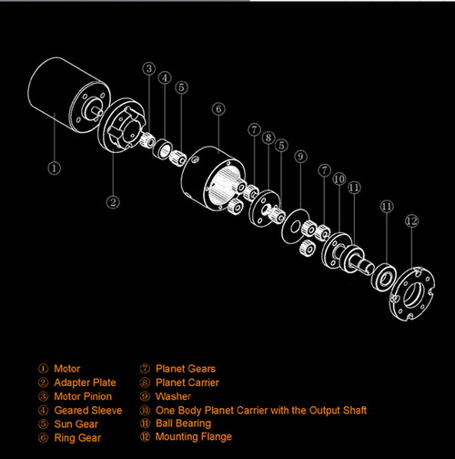dolin geared Motor